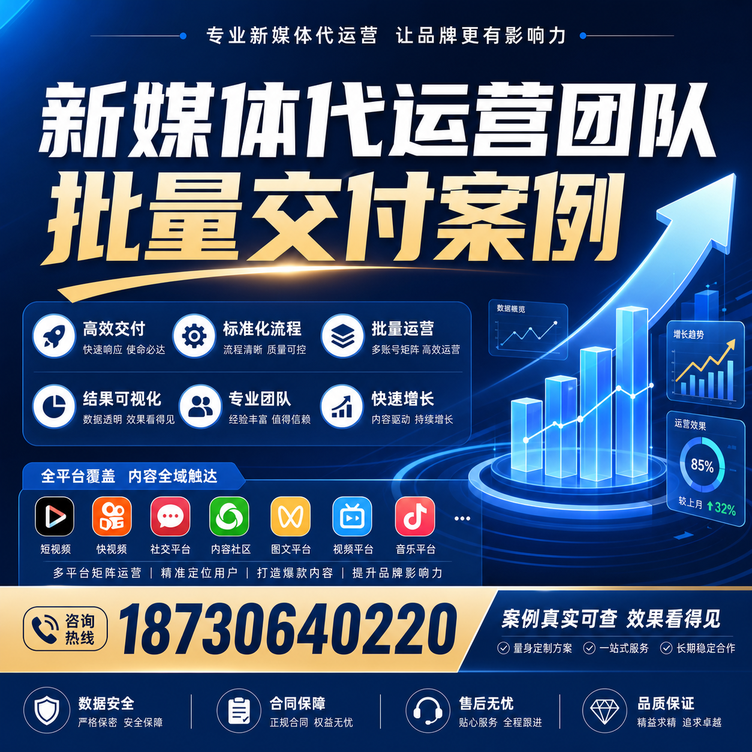 大连代运营公司多客户账号批量高效交付案例